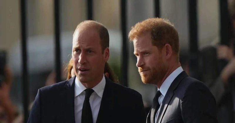 Prince William 'Cannot Forgive' Prince Harry 'For Things He's Written' In Memoir, Claims Journalist: 'A Line Has Been Crossed'