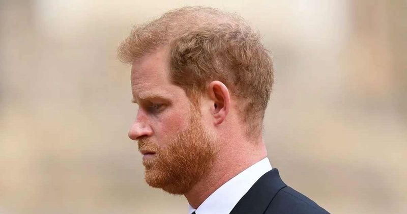 Prince of Wails: Psychologists Suggest Harry's 'Trauma & Paranoia' Are To Blame For Constant Crusades Against Royal Family