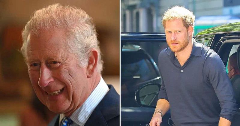 'Who?': King Charles Bursts Into Laughter After Fan Begs Him For Prince Harry's Royal Return