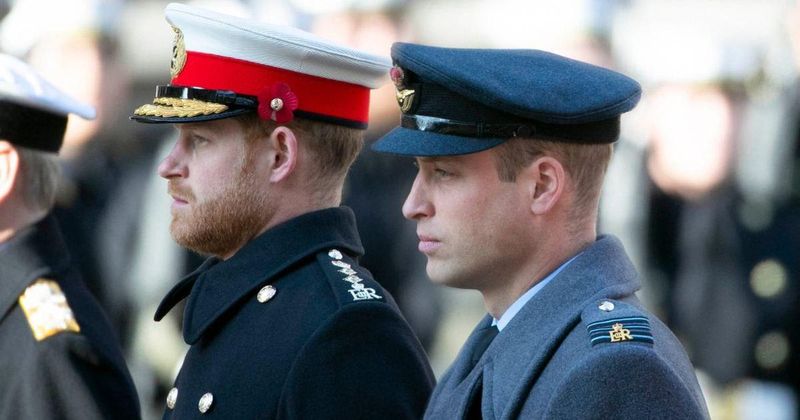 Prince William and Prince Harry Feud Could End With One Specific Royal's Help, Insider Claims
