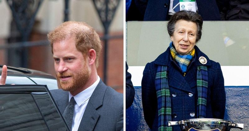Prince Harry Risks Losing His Last Royal Lifeline as Princess Anne Is 'Furious' With Him, Expert Claims