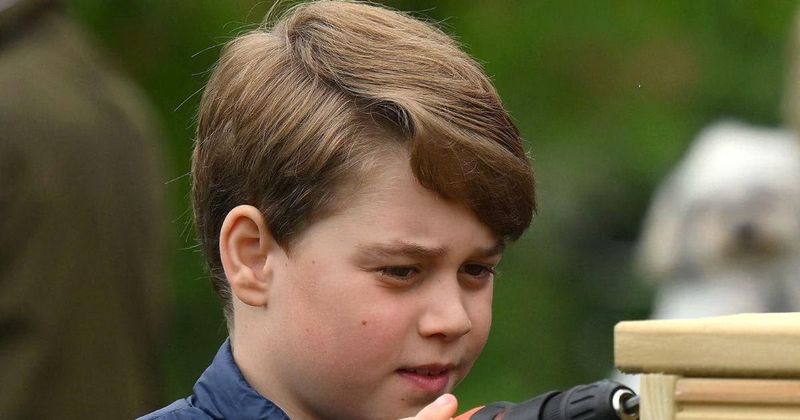 Prince William and Kate Middleton Demand Prince George to Do Chores During His School Breaks