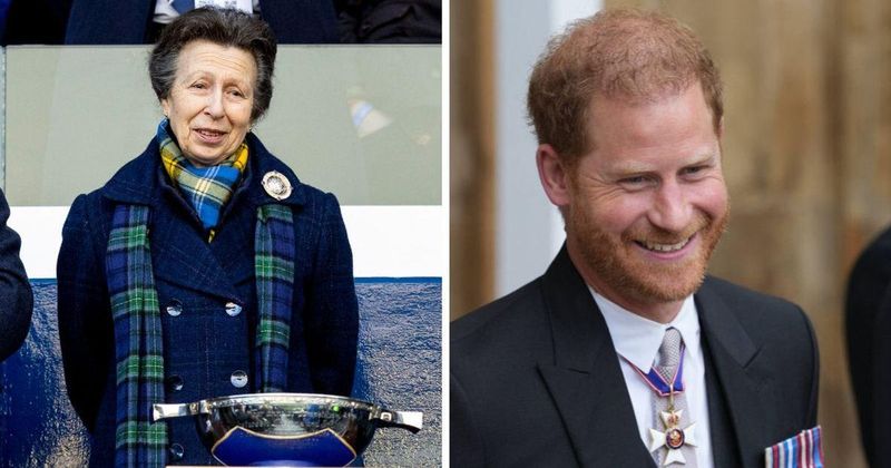 Princess Anne Sympathizes With Prince Harry's 'Spare' Status But Does Not Admire His 'Tactics' Against Royal Family
