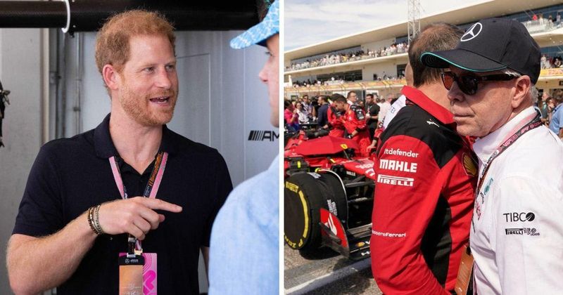 Prince Harry Should 'Practice What He Preaches' When It Comes To Eco Activism Hypocrisy