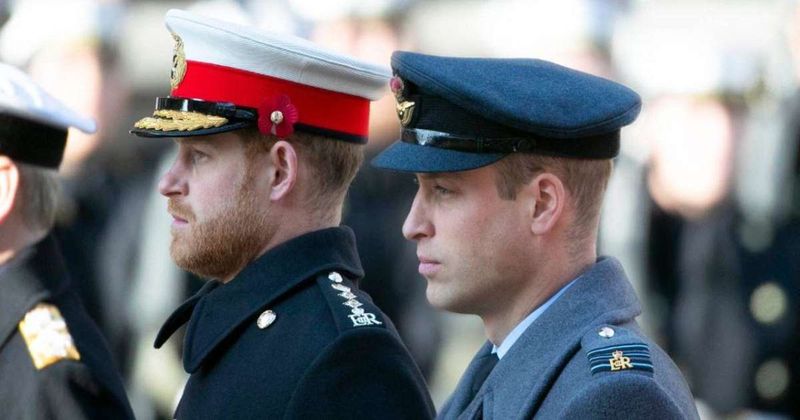 Prince William 'Hates' Prince Harry After the Release of 'Spare'