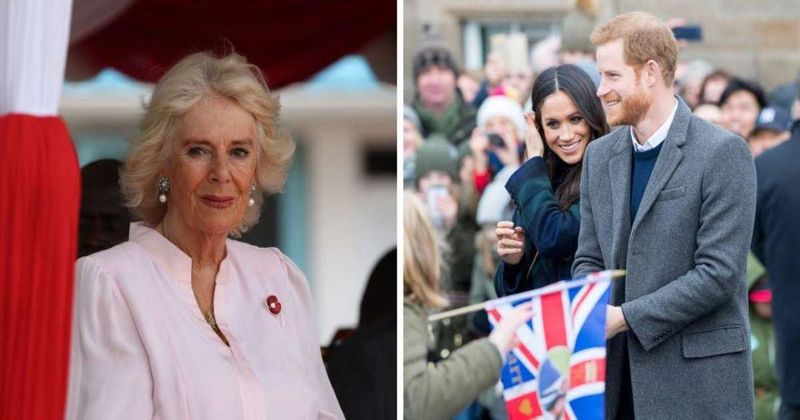 Queen Camilla Has 'No Respect' for Prince Harry and Meghan Markle Following Their Relentless Attacks on the Monarchy