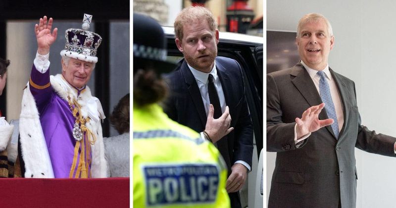 No Prince Harry, No Prince Andrew: King Charles' Head of State Stand-ins During Hospitalization Not to Include Disgraced Royals 