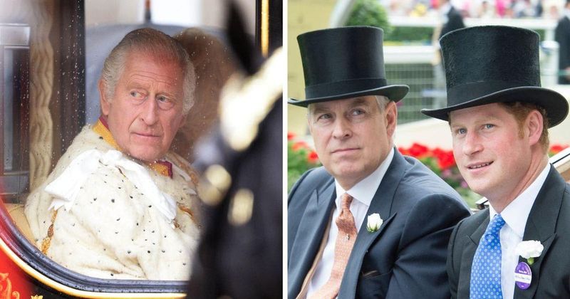 King Charles' 'Sensible Solution' Averted 'Potential Problems' Associated With Prince Harry and Prince Andrew Becoming Temporary Heads of State
