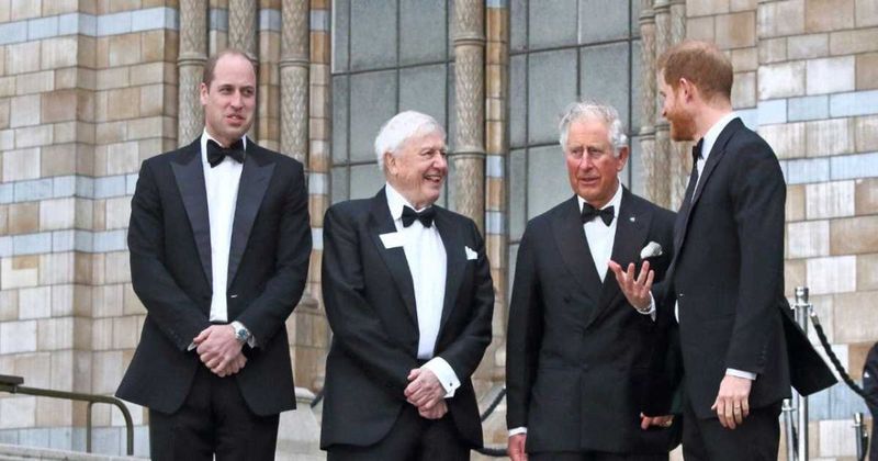 King Charles' Cancer Scare Could End Prince Harry and Prince William's Yearslong Feud 