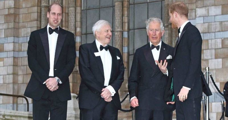 Prince Harry's 24-Hour U.K. Trip Reveals His Relationship With Prince William Is 'Incredibly Broken'