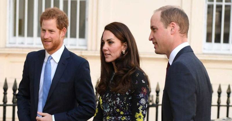 Prince Harry Flies Home to California Without Visiting Prince William and Kate Middleton