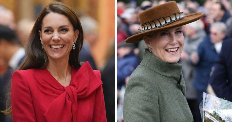'Kate's Anne': Duchess Sophie Is Set to Assist the Princess of Wales Much Like the Princess Royal Assists King Charles