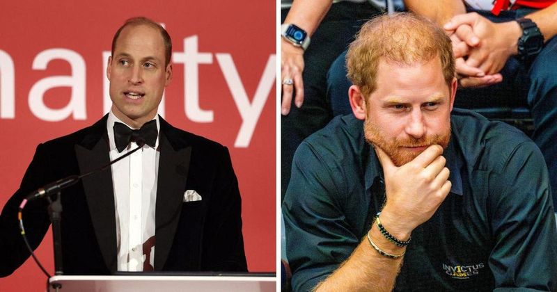 'Daggers Drawn': Prince William Is 'Appalled' at Prince Harry's Latest Idea, Has Put His Foot Down in Protest  