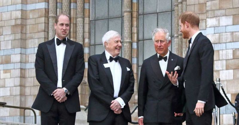 Prince Harry Will Never 'Distance Himself Further From His British Roots' and Become an American Citizen 