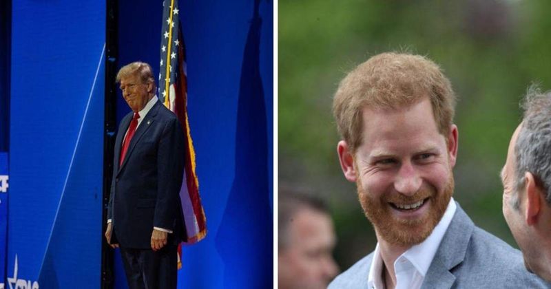 Donald Trump Rips Prince Harry Apart for 'Betraying the Queen'