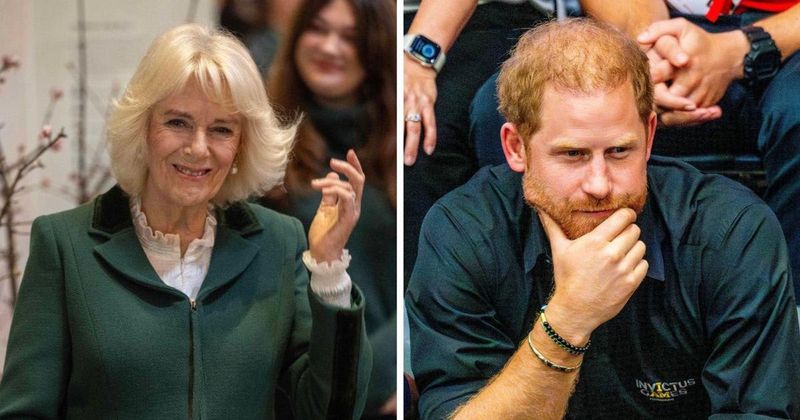 The Royal Family Includes 'Shady' Homage to Prince Harry's 'Spare' in New Glossy Queen Camilla Video