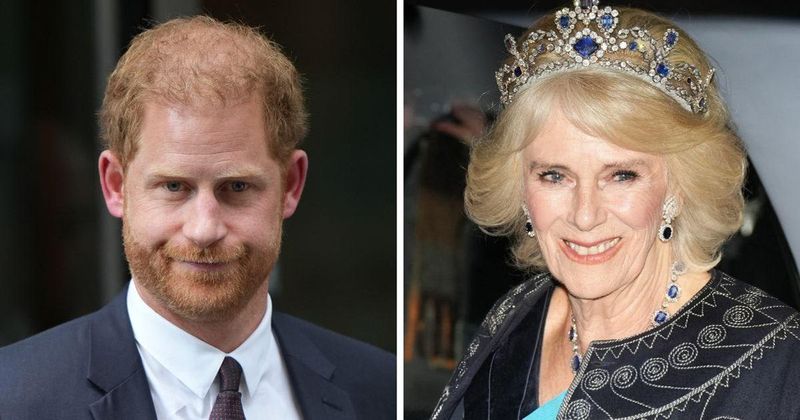 Prince Harry's Not-So-Wicked Stepmother: Royal Consort's Dedication to Newfound Duties Is 'Not Sitting Well' With Hollywood Duke
