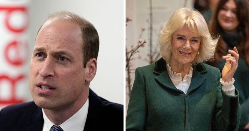 Prince William 'Values' Queen Camilla: Prince of Wales to Co-Lead Monarchy With Stepmother 'for Months to Come'