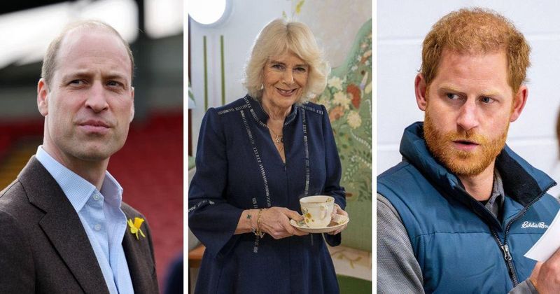 A 'Treacherous Brother' and Wicked Stepmother: Prince Harry 'Distrusts' Prince William's Newfound Bond With Queen Camilla
