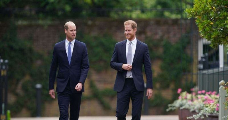 Prince Harry Will No Longer Become Prince William's 'Top Advisor' Amid Feud 