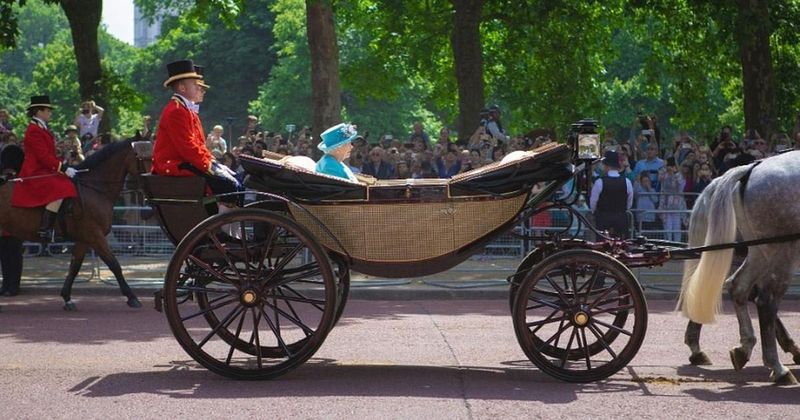The Queen and the Turf: A Lifetime Love of Horse Racing