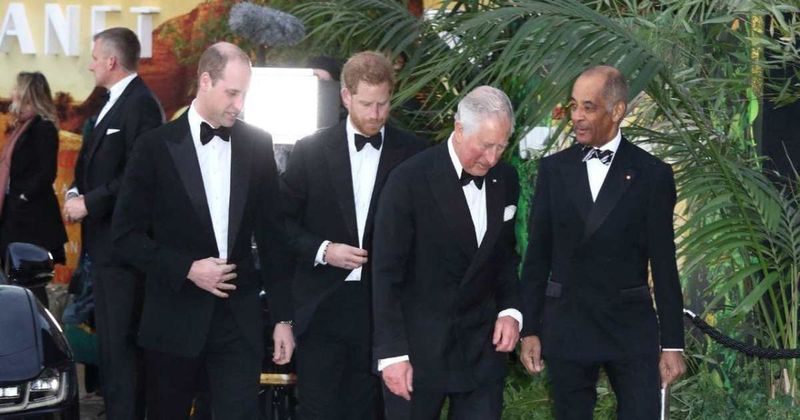 King Charles Snubs Prince Harry by Giving Prince William His Military Role 