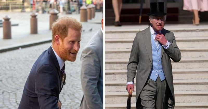 Prince Harry 'Deeply Stung' After Visiting the U.K. Without Seeing King Charles