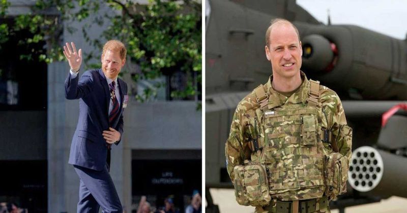 Prince William and King Charles 'Deliberately Humiliated' Prince Harry With the Prince of Wales' New Military Role