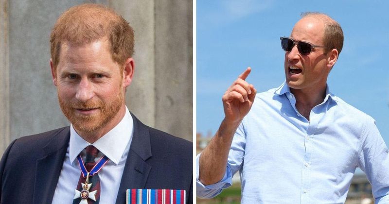 Royal Heart-to-Heart Halted: Prince Harry Gave 'Curt' Two-Word Reply to Prince William When Future King Asked to Meet With Duke