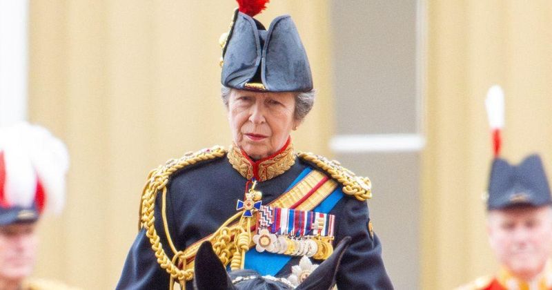 Princess Anne Condition 'Quite Serious': Hardworking Royal 'Can't Remember Anything' in Latest Blow to 'Slimmed-Down Monarchy'