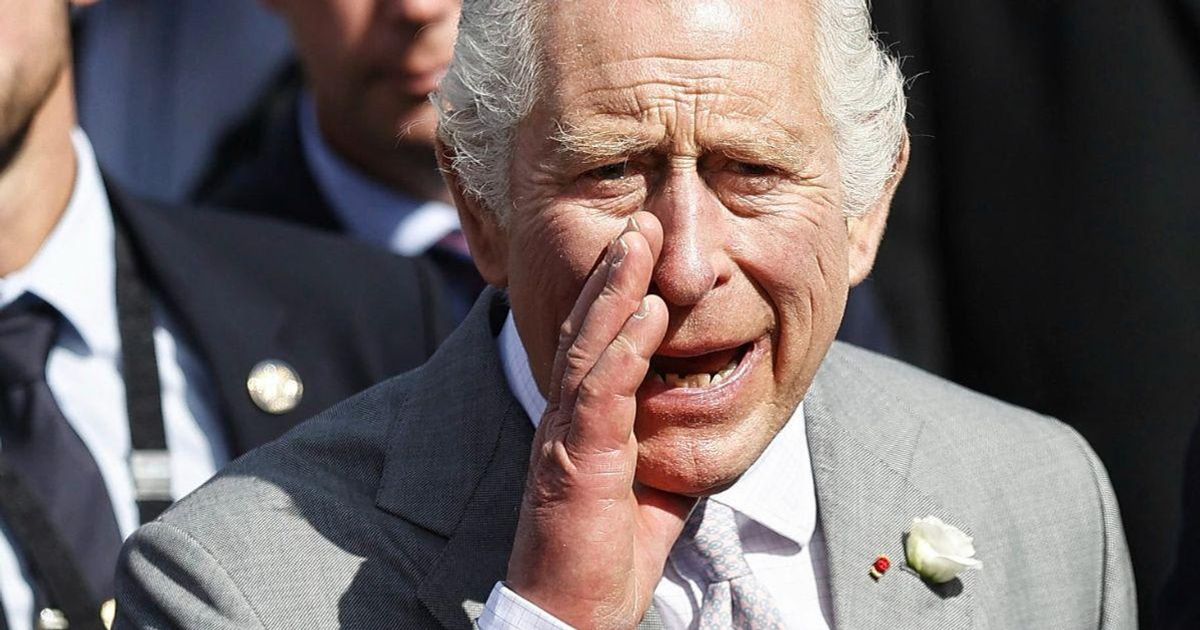 King Charles' 'Rough Skin': Monarch's Lack of Skincare Causes Fan Uproar After Shaking Hands With People