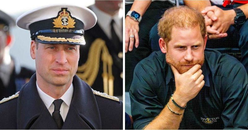 Crown's Cold Case: Prince William's Frosty Message to Prince Harry Proves Sibling Hatred Is Hard to Hide