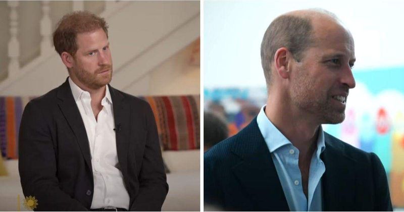 Sibling Rivalry or PR Ploy? Prince Harry Plays 'Cosplay Royal Games' for Video News Release as Prince William Returns to Work
