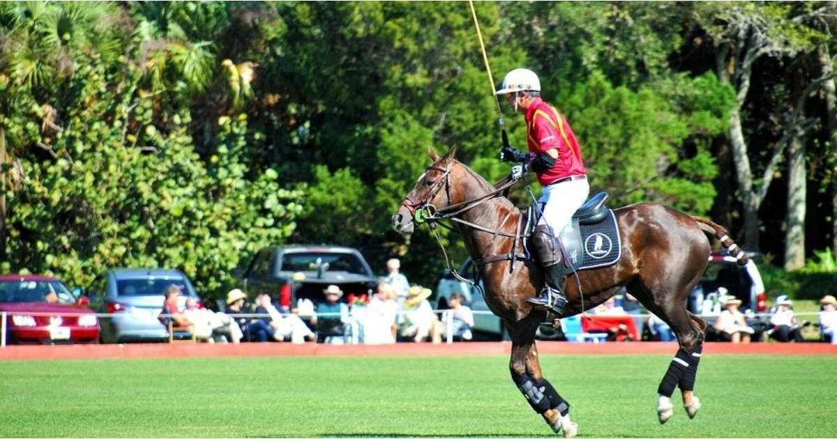 What Sport is the Most Popular Among Royals?