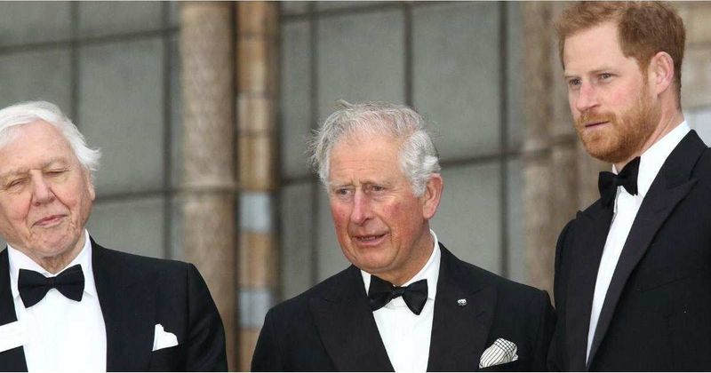 Prince Harry’s Royal Return Will Be a 'Slow Burn' After Publicly Attacking His Family