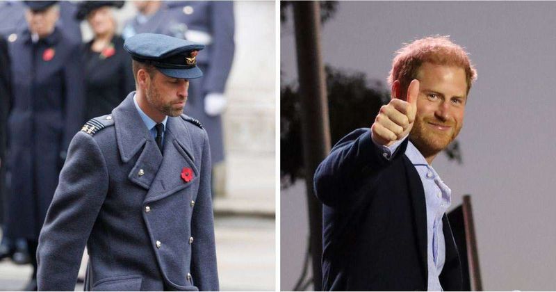 Prince William's Sussex 'Scolding': Future King 'Needs Prince Harry to Bring Him Down a Peg' After 'Egotistical' South Africa Interview