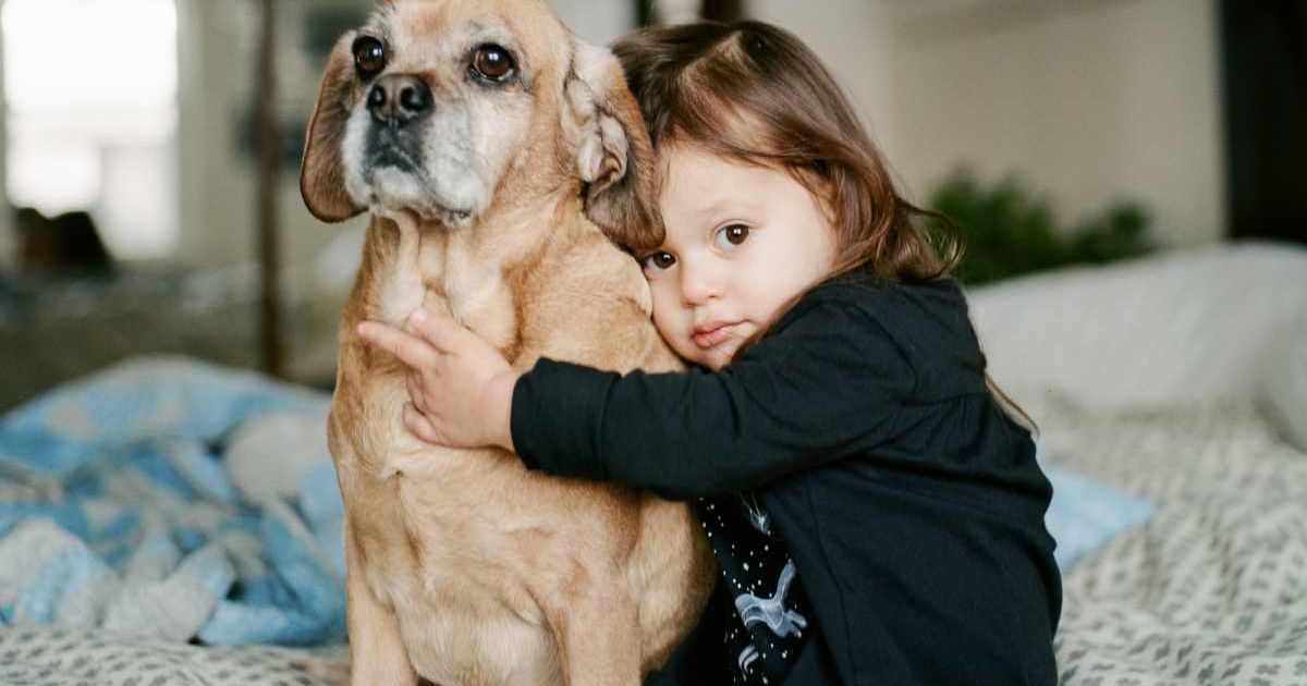 Representative Cover Image Source:
Little Girl snuggling her dog which is a mixed mutt breed including pug or puggle. Getty Images | Shaw Photography Co.