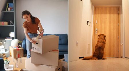 Woman hears her dog whining at the door — gets teary-eyed by the reason behind it 