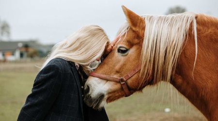 Emotional video shows horse consoling his owner — not realizing she was crying for him