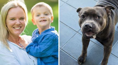 Parents gift son a dog with a cleft lip and he finally felt seen: 'It looks like him'