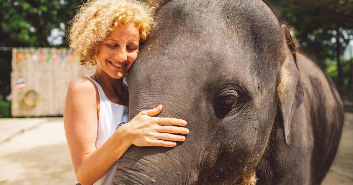 Woman hugging an elephant. (Representative Cover Image Source: Getty Images | Photo by bortescristian)
