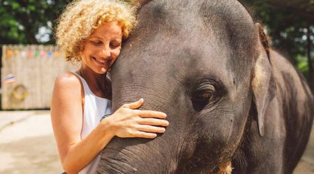 Woman's tutorial shows '3 ways to mount an elephant' — and the internet is going gaga over the video