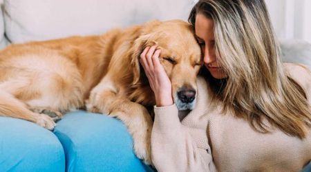 Sad golden retriever only wants 'grandma' to play with — owner's videos explore Wally's human side