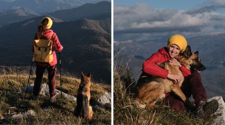 Tourist moved by dog who never left her side, is now fighting to adopt him from 6300 miles away