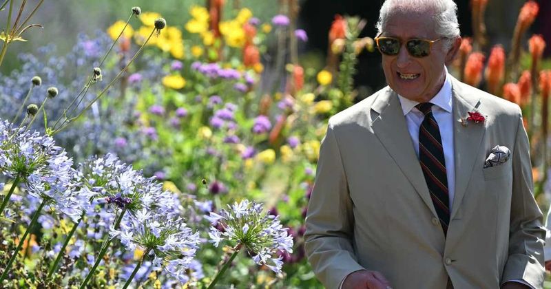 King Charles Defended by Friends After Highgrove Sees Mass Staff Walkout Over ‘Unrealistic’ Demands