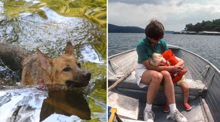 German shepherd thinks family is ‘stranded’ and plunges into the lake - surprises everyone with rescue mission