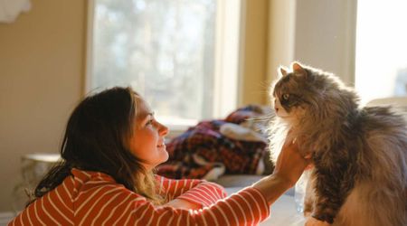 Woman takes home an ‘unadoptable’ cat from the shelter – he is unrecognizable two years later