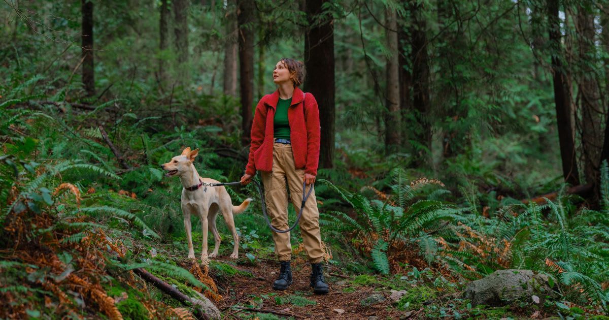 Woman walking the dog on forest trail in Vancouver, Canada. Representative Cover Image Source: Getty Images | Photo by Oleh Slobodeniuk. 