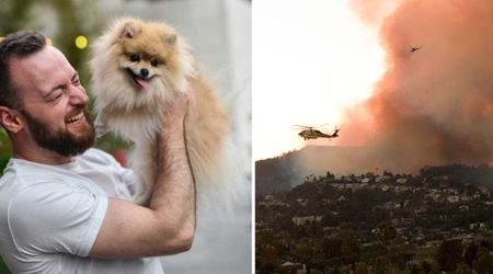 Man goes looking for his dog that went missing during wildfires – then he finds her in ashes
