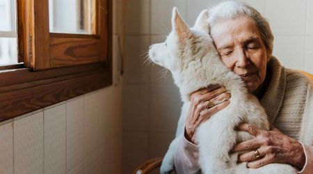 A 94-year-old spoiled her neighbor’s dog with treats — she left, but he waits at the same spot every morning